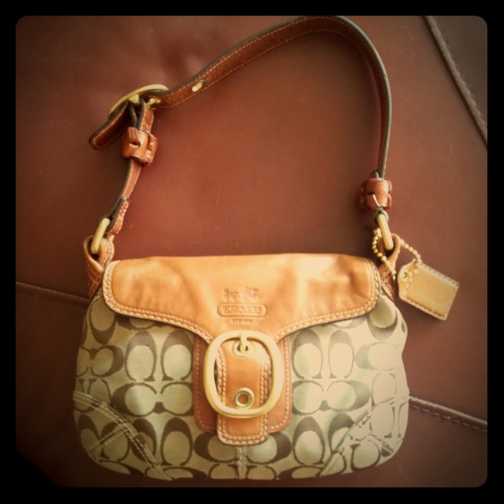 Coach Mini Hobo Bag